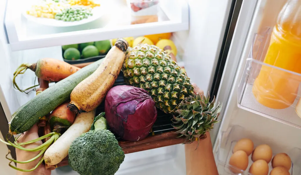 Hands of person putting tray with fresh vegetables and fruits in refrigerator
