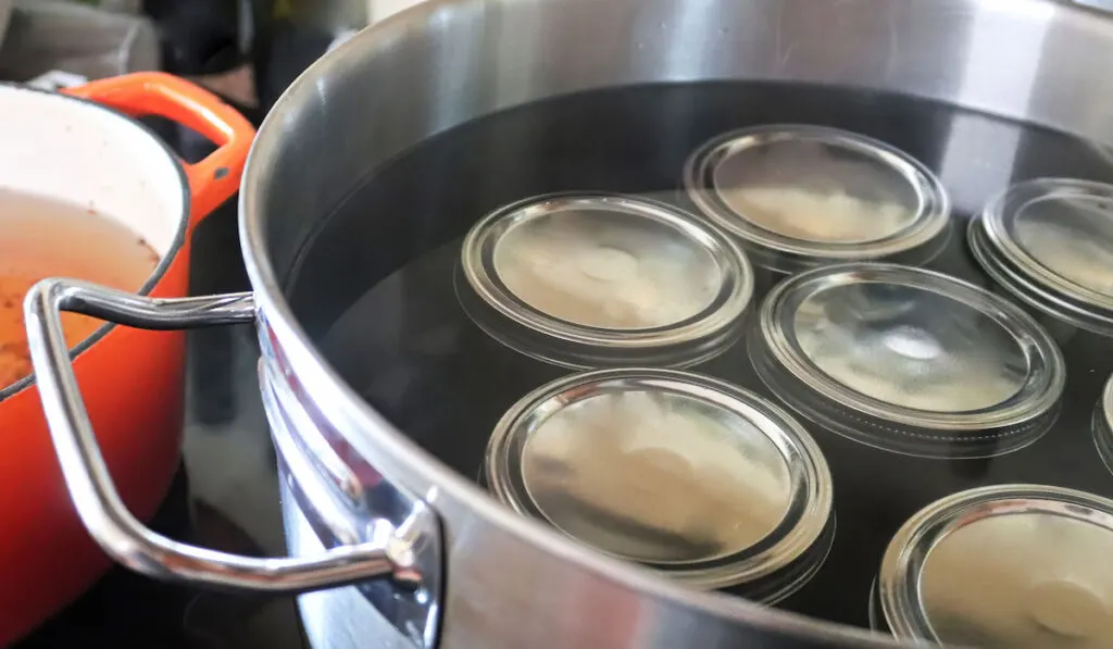 Pickling jars in a pot full of water, water bath canning process