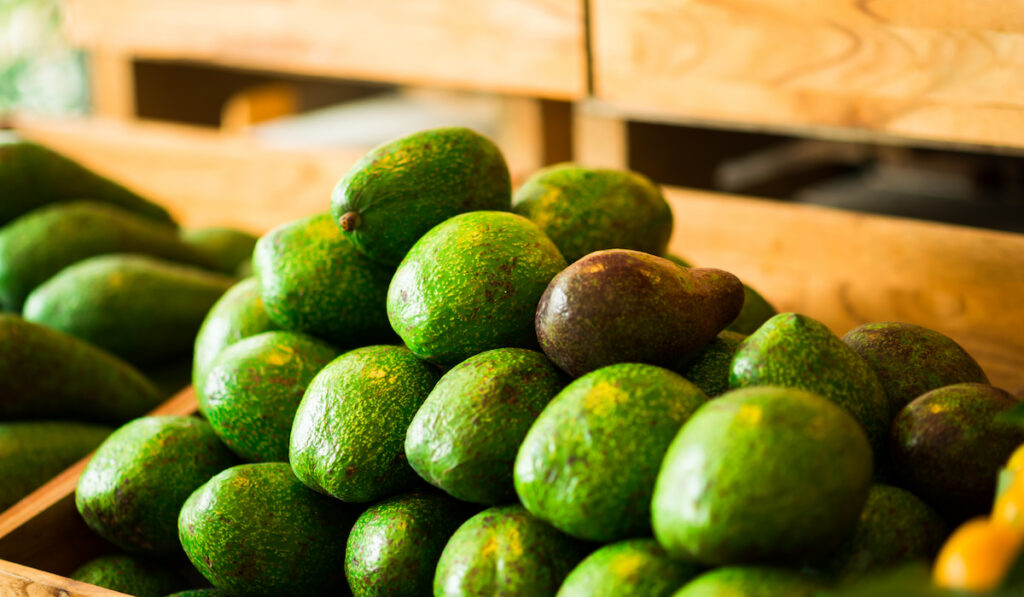 Pile of fresh ripe avocados in wooden box

