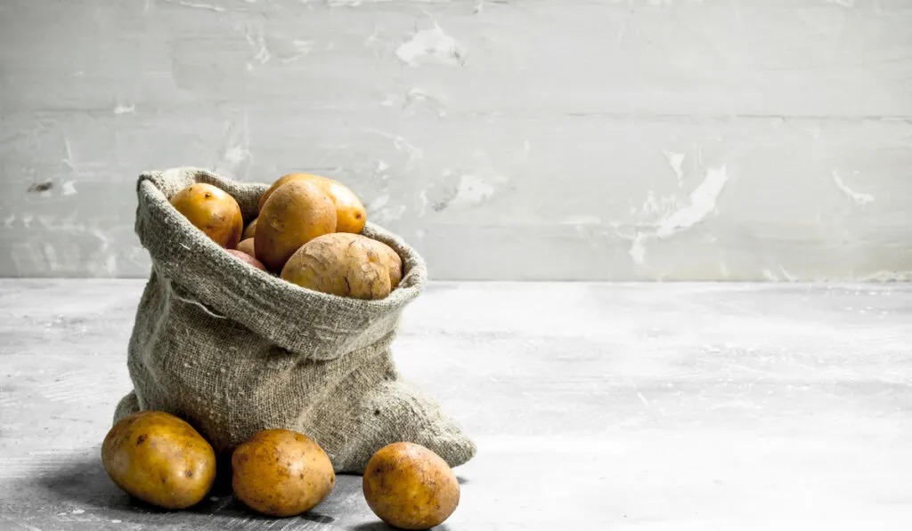 Potatoes in the sack. On white rustic background