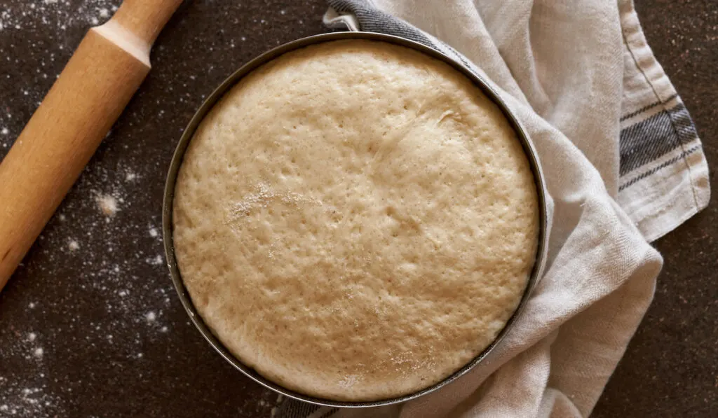 Raw yeast dough resting and rising in large metal bowl with linen towel