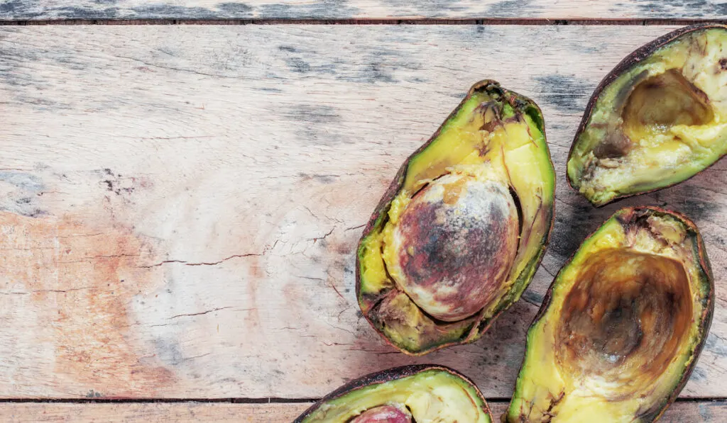 Rotten slices of avocado on wooden background