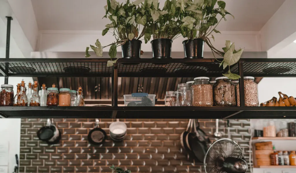 some trailing plants on top of an open shelf rack in the kitchen
