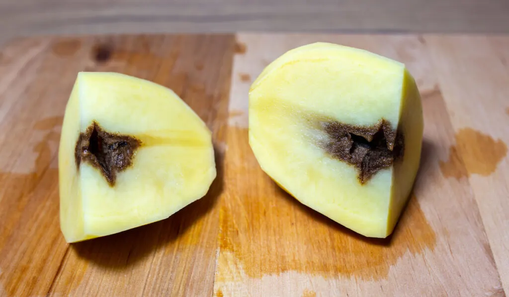 Sliced of Spoiled, rotten potatoes on wooden table