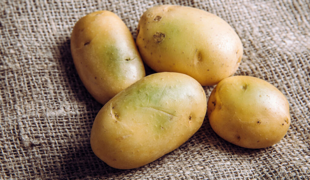 Sunlight and warmth turn potatoes skin green witch contain high levels of a toxin, green potatoes