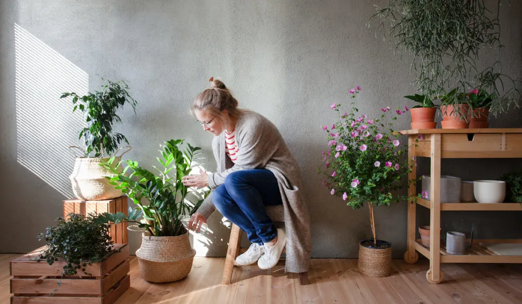 Woman checking her potted plants in indoor garden 