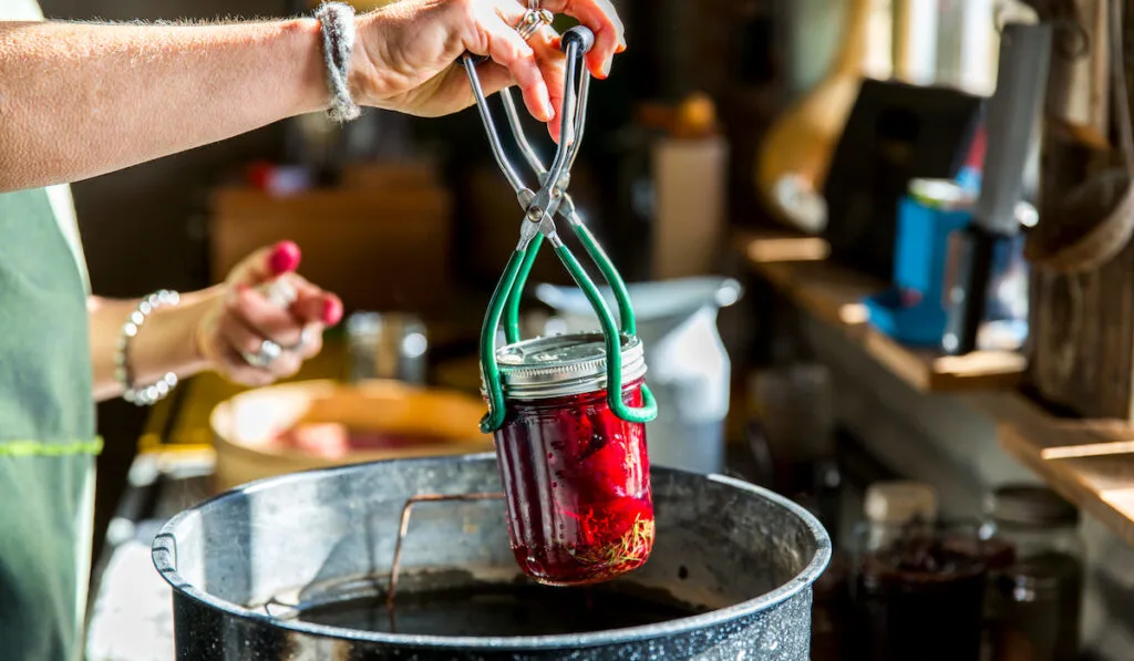 Woman's hand holding preserved beetroot in a jar ready for boiling process