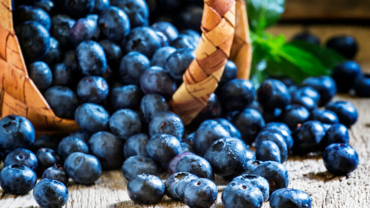 blueberries in a woven basket