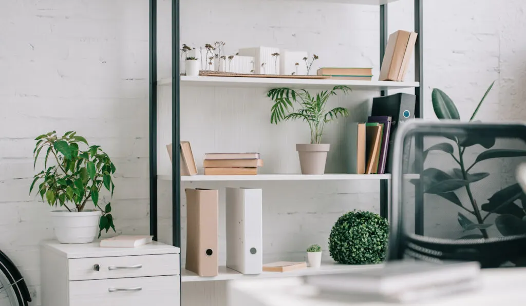 3 indoor plant decor placed in the home office