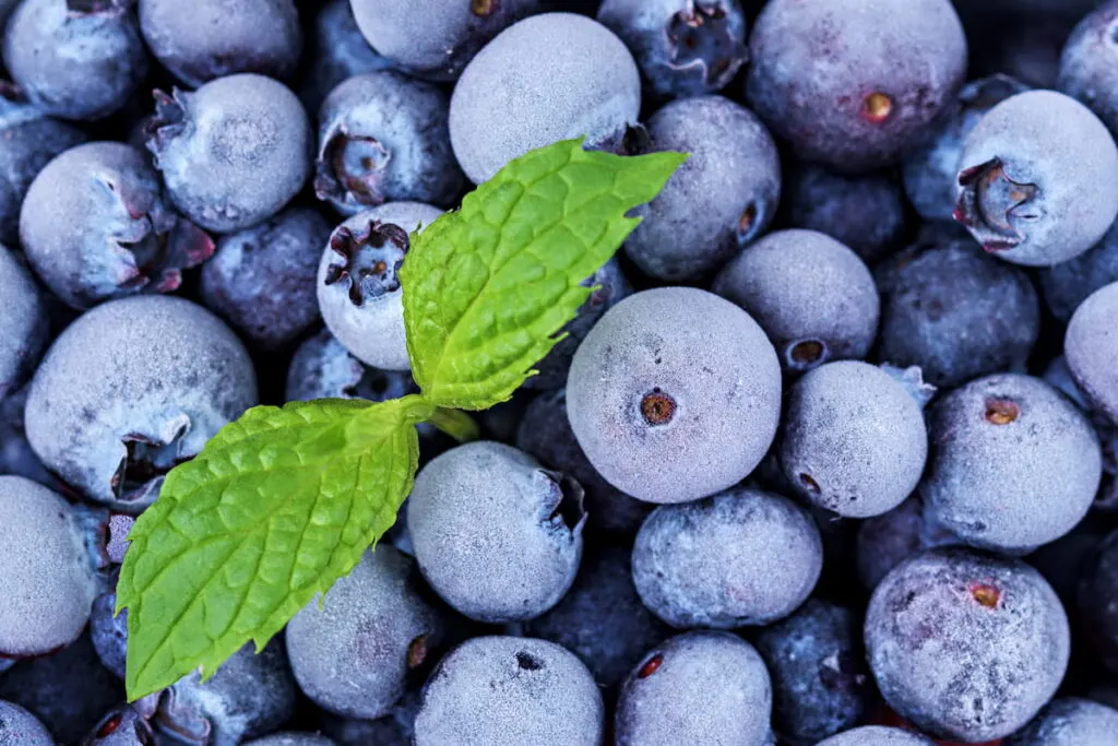 frozen blueberries with two mint leaves