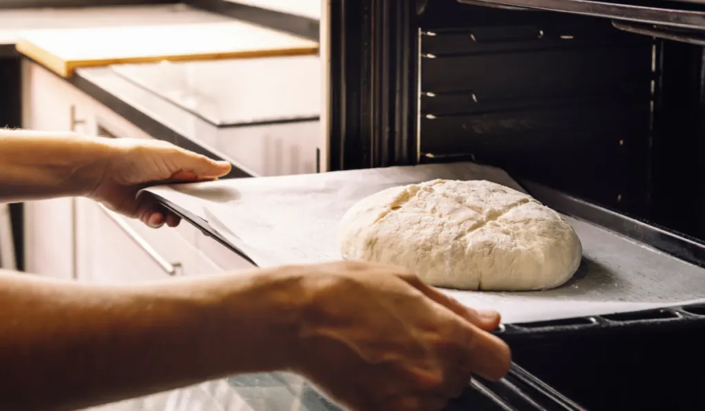 person putting a rustic bread dough in the oven,