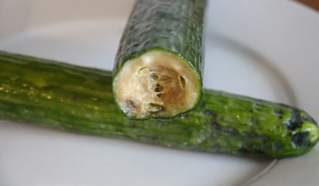rotten cucumber on white plate