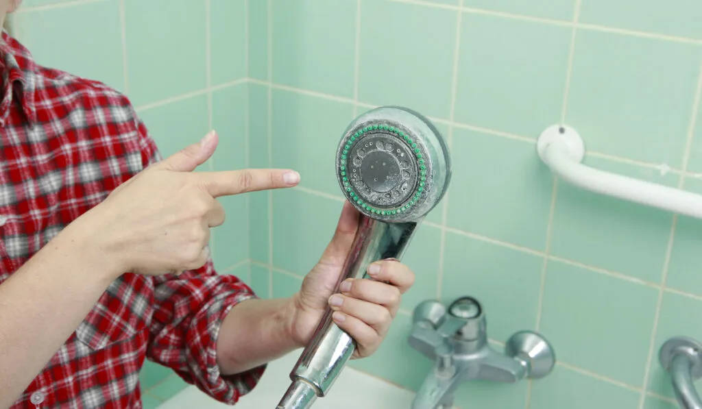 woman cleaning an calcified shower head
