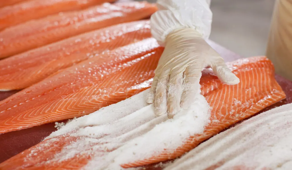 worker's hand applying salt on sliced fish on table
