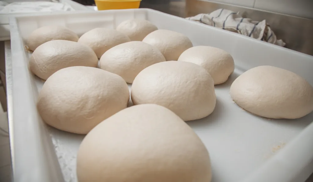 yeast dough for pizza