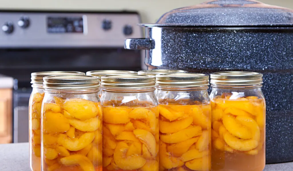 Canned peaches with large pot or canner in a kitchen
