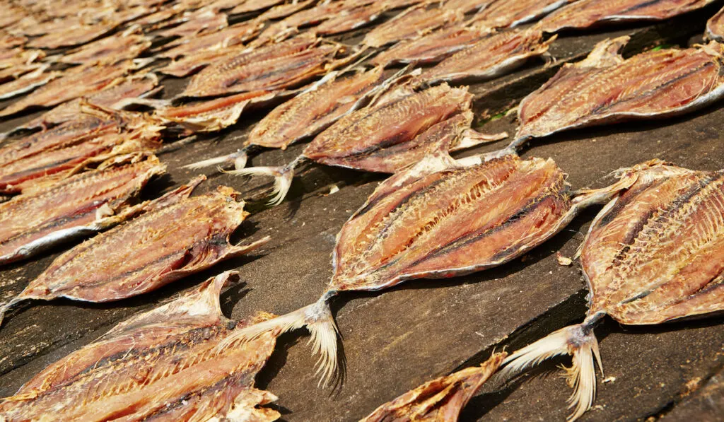 Drying fish on a wooden desk under the sun