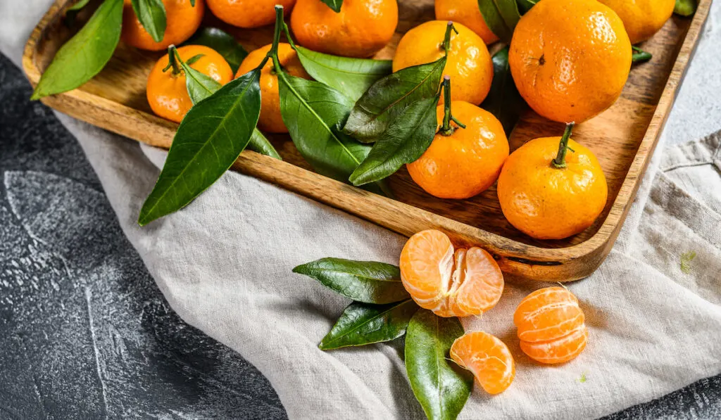 Fresh mandarin oranges with leaves on a wooden tray