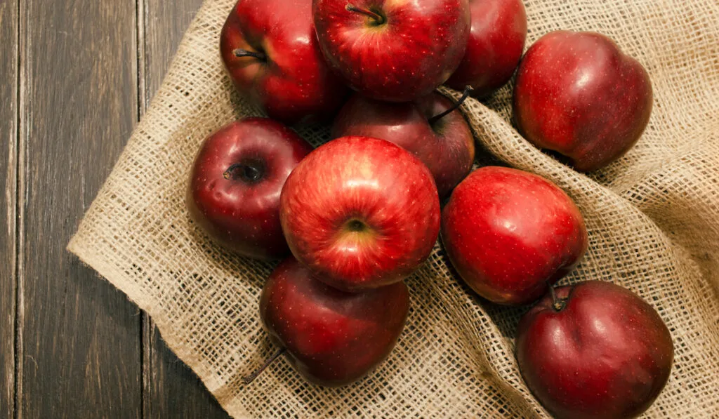 Ripe red apples on a burlap