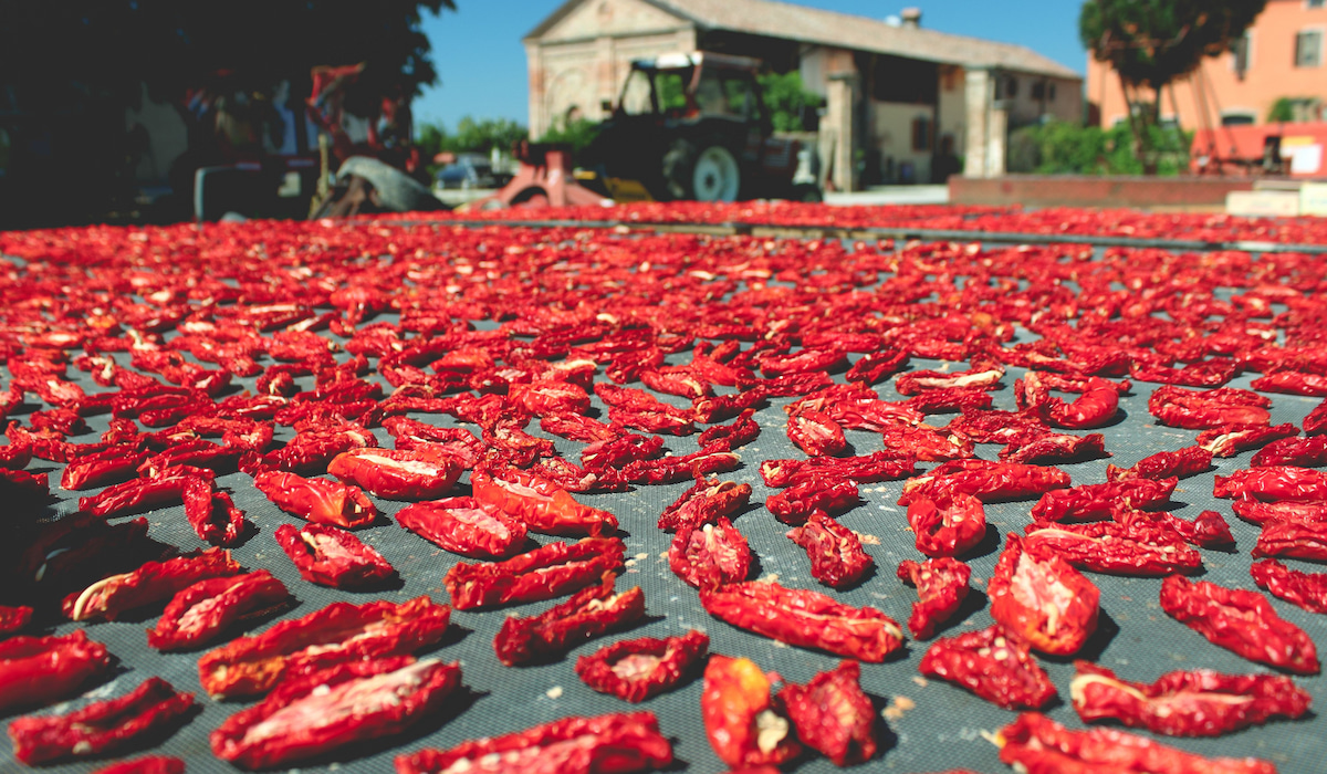 Sun Drying Food – How to Get Started - Farmhouse Guide