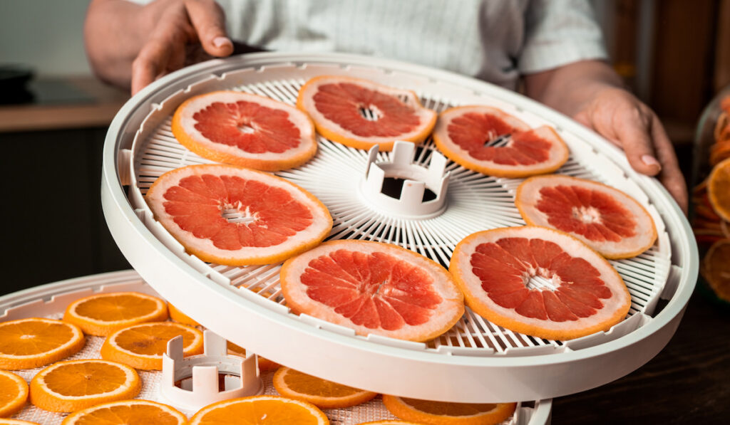 woman assembling plastic dehydrator trays with fresh fruits in kitchen

