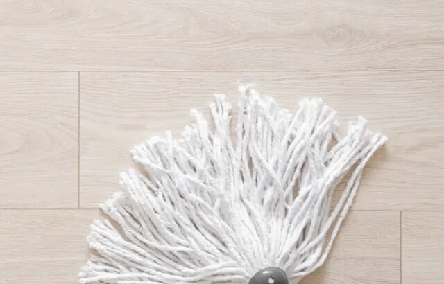 New white mop head with stick on light laminate background - ss230812