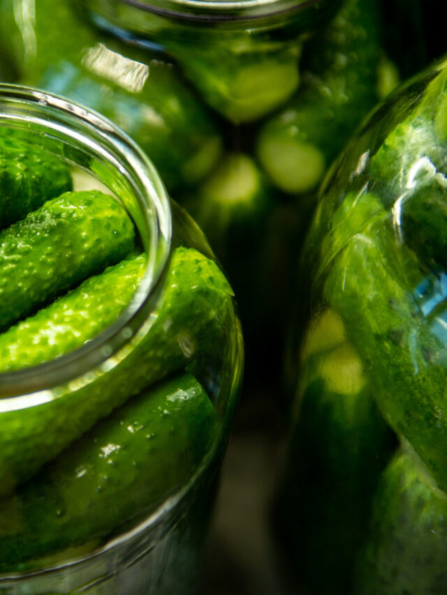 Dry Canning Vs. Vacuum Sealing Farmhouse Guide