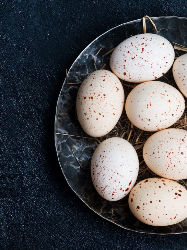 When Do Turkeys Start Laying Eggs (And 11 Other Fun Facts About Turkey