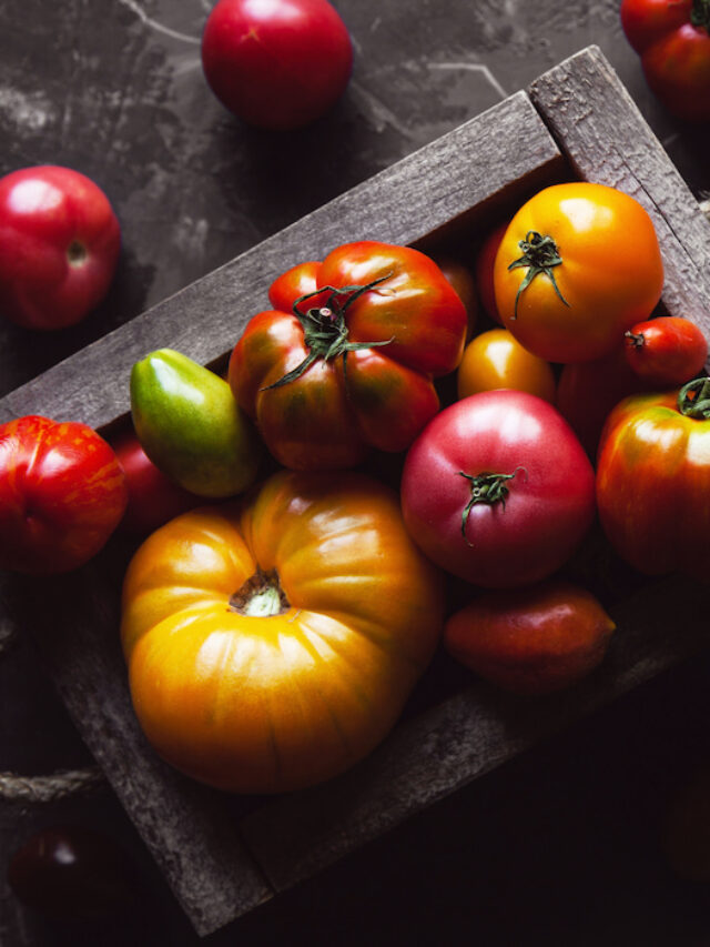 Can Horses and Donkeys Eat Tomatoes? Farmhouse Guide